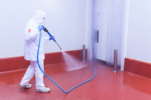 Animal Enclosure Cleaning in Mead Valley, CA